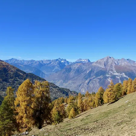 Pracondu 1 002 - Outdoor & Fun * Nendaz